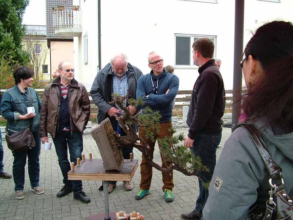 Martin eröffnet Christian neune, mögliche Pflanzwinkel für seinen Baum