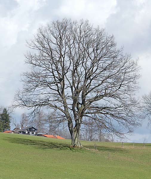 Dsc_3210v.jpg