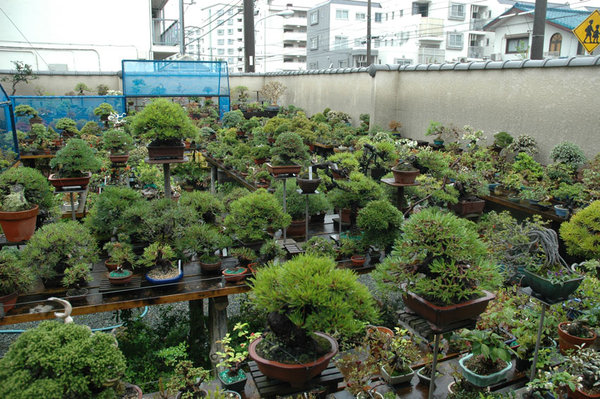YamatoENGarden.jpg