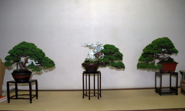YamatoENShimpaku3.jpg