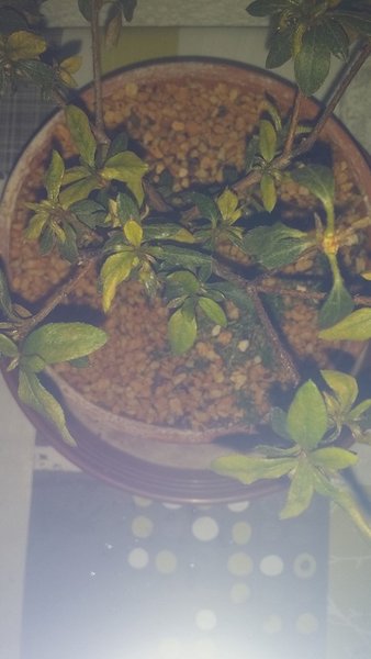 20150417_202911.jpg