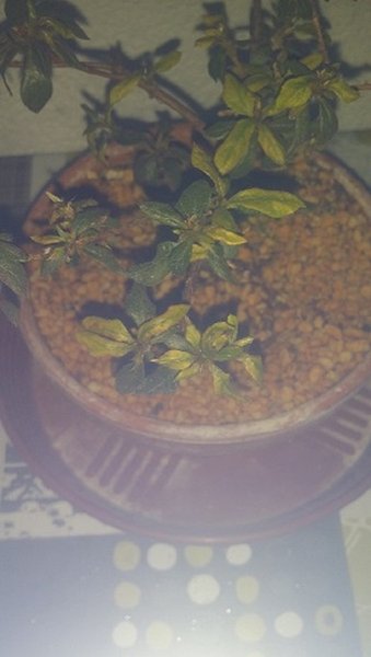 20150417_203007.jpg