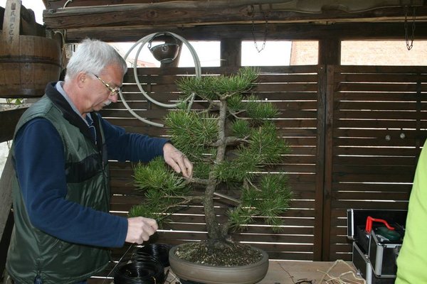 comp_IMG_0065.jpg
