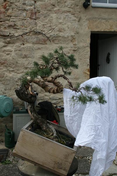 comp_IMG_0074.jpg