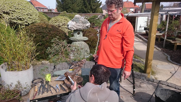 20150419-DSC_0049.jpg