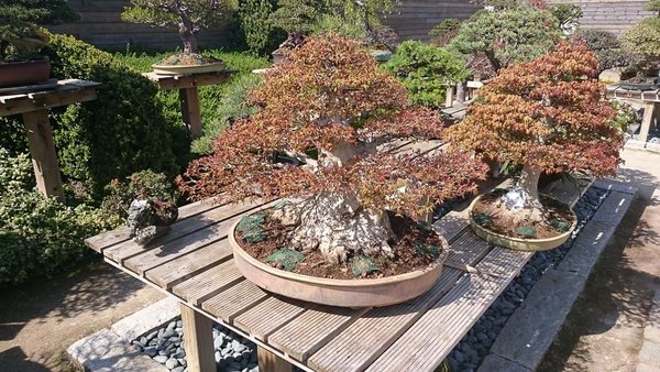 20150419-DSC_0061.jpg