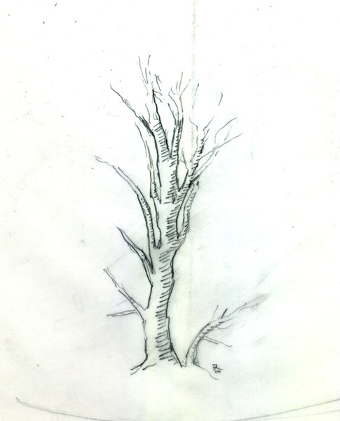 Scannen0015a..jpg