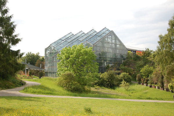 Tropenhaus