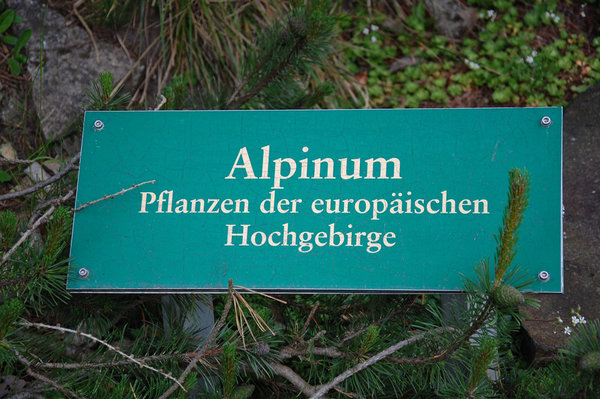 4-Alpinum.jpg