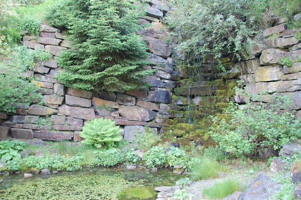 Botanischer Garten