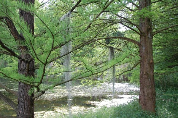 Botanischer Garten