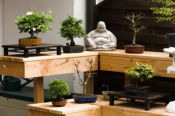 garten.jpg