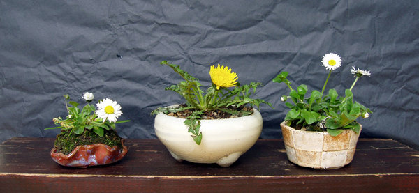 Beisteller00_2015-08small.jpg
