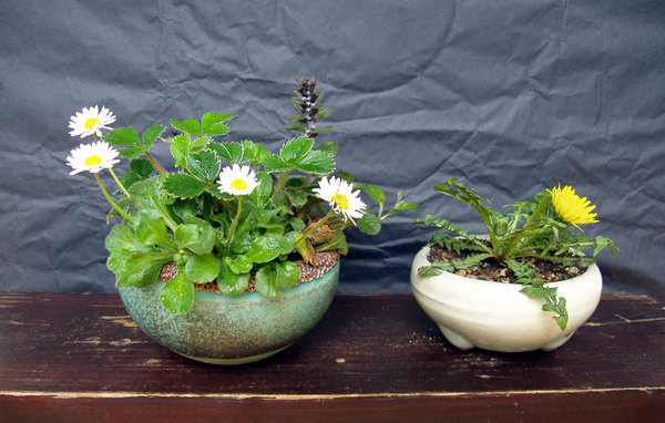 Beisteller00_2015-09small.jpg
