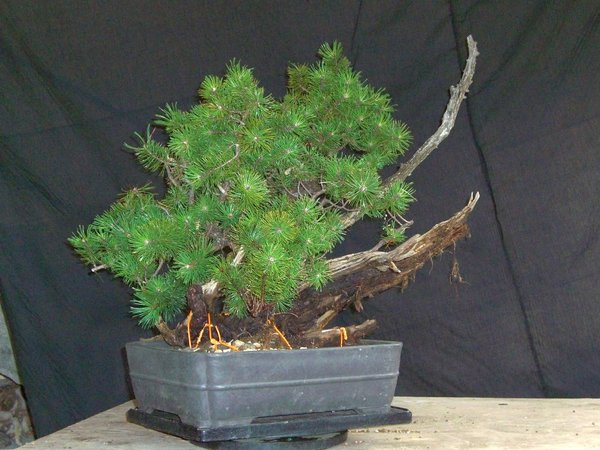 Sept 2008