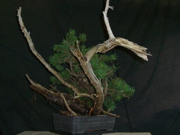 Sept 2008