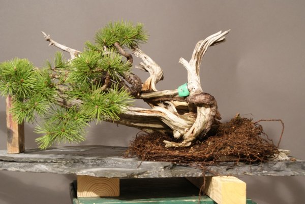 0244 06.04.15.jpg