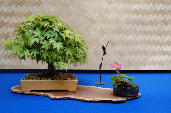 Mame und Shohin