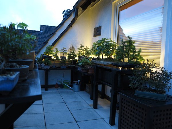 balkon-2015-05-04-c_.jpg