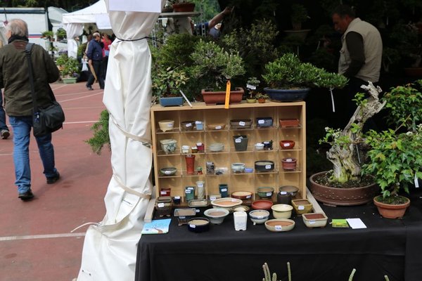 IMG_2230.jpg