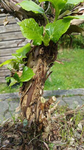 20150505_151944.jpg