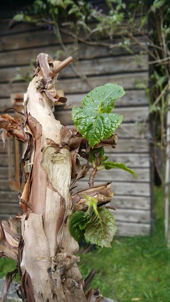 20150505_152004.jpg