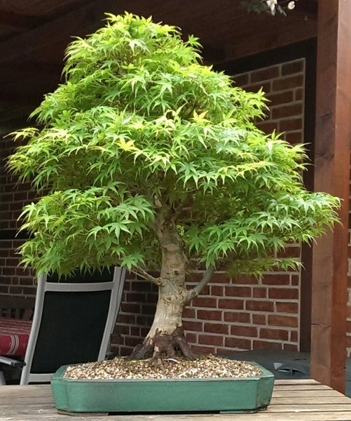 IMAG0950_1.jpg