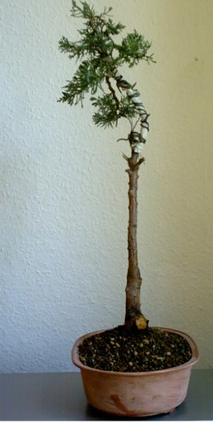 Rechts