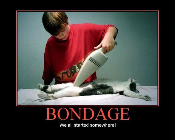 Lol_bondage_ftw_by_Snkbyt.jpg