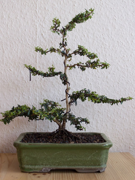 bild10.jpg