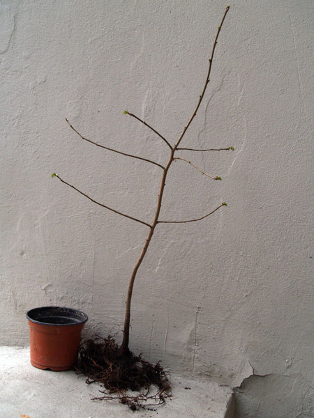 bild13.jpg
