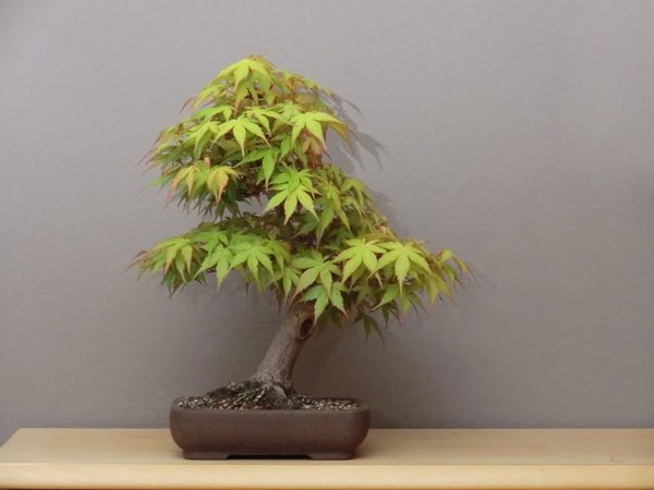 Mai 2015