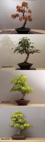 Entwicklung 2010 - 2015