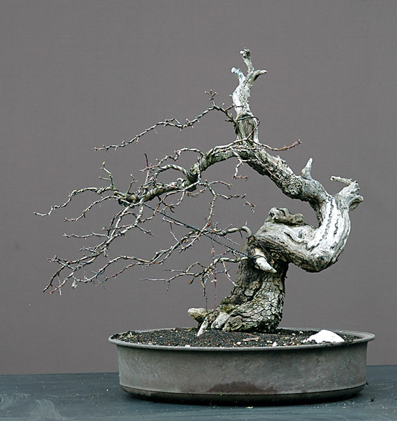 Stand 13. 4. 2006