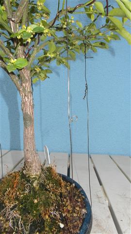 SAM_2114 (Small).JPG