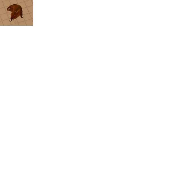 Blatt1.jpg