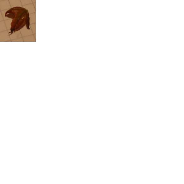 Blatt2.jpg