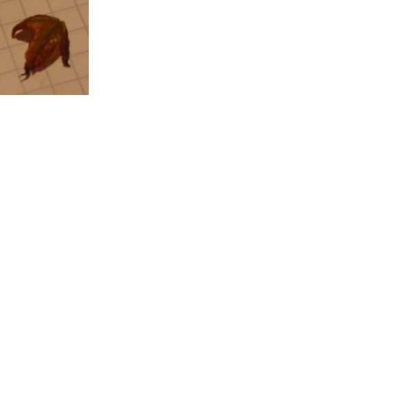 Blatt3.jpg