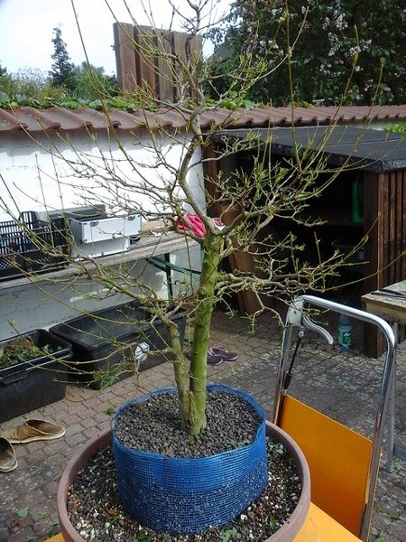 P6.jpg