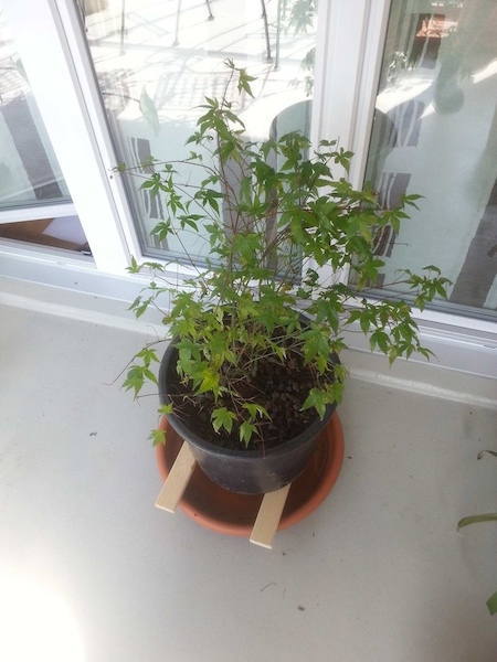 20150602_101632.jpg