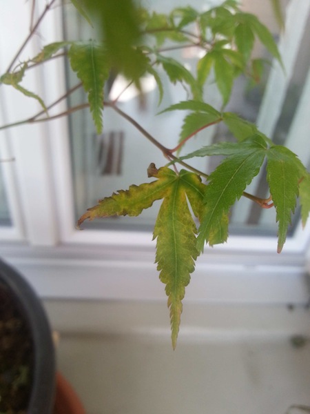 20150602_101649.jpg