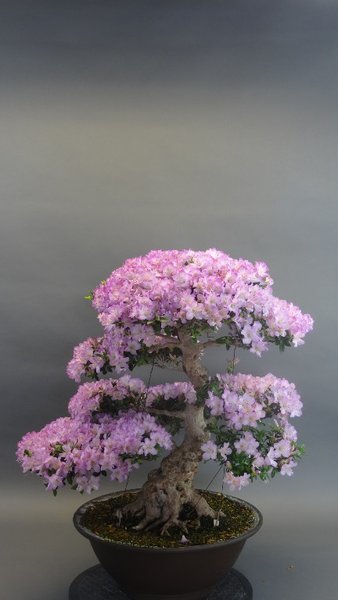 DSC03832.JPG