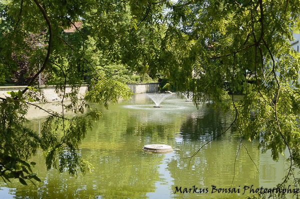 DSC_8174.jpg