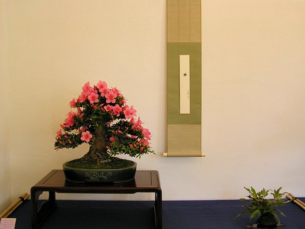 Chinzan 1   004.jpg