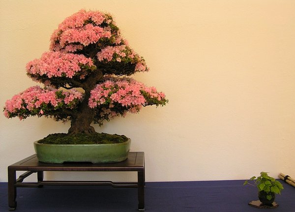 Kakuo 1  006.jpg