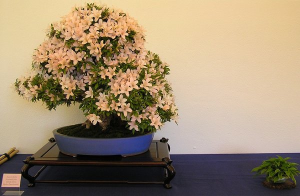 Kozan 1     040.jpg