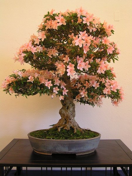 Nyohozan 1a   098.jpg