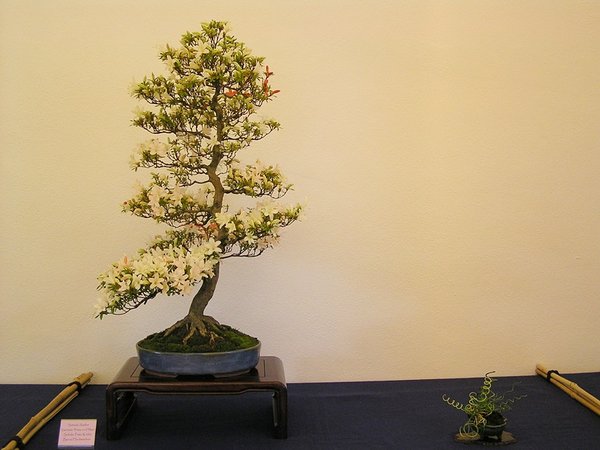 Yama no Hikari  032.jpg