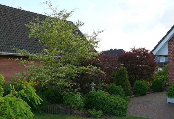 P1030450-1.jpg