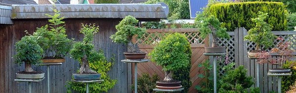 P1030462-1.jpg